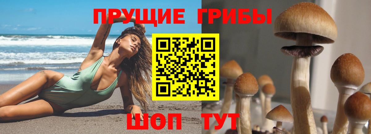 Псилоцибиновые грибы GOLDEN TEACHER Москва